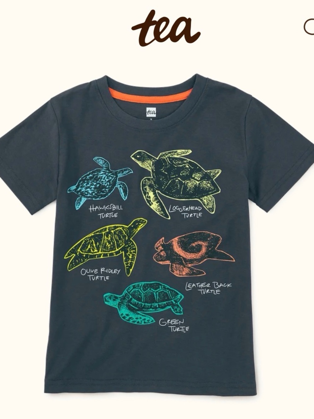 NWT Tea Collection sea turtle discovery graphic kids tee shirt size 6